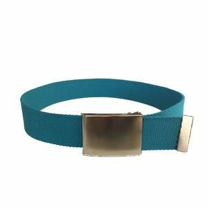 Dexter Woven Belt with Silver Buckle