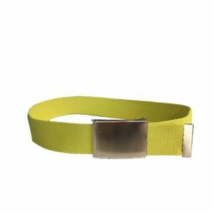 Dexter Woven Belt with Silver Buckle