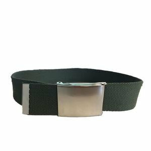 Dexter Woven Belt with Silver Buckle